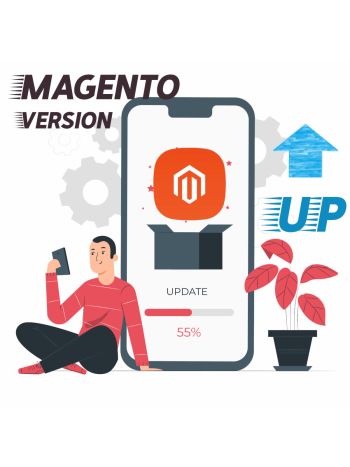 Magento Version Upgrade