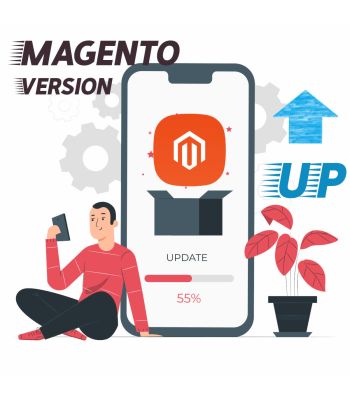 Magento Version Upgrade